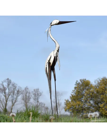 Héron tout blanc lisse