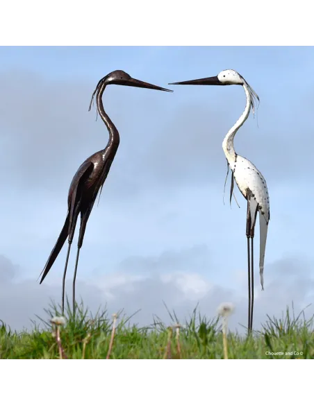 Héron tout blanc lisse