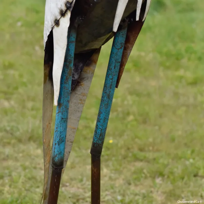 Héron blanc cuisses bleues