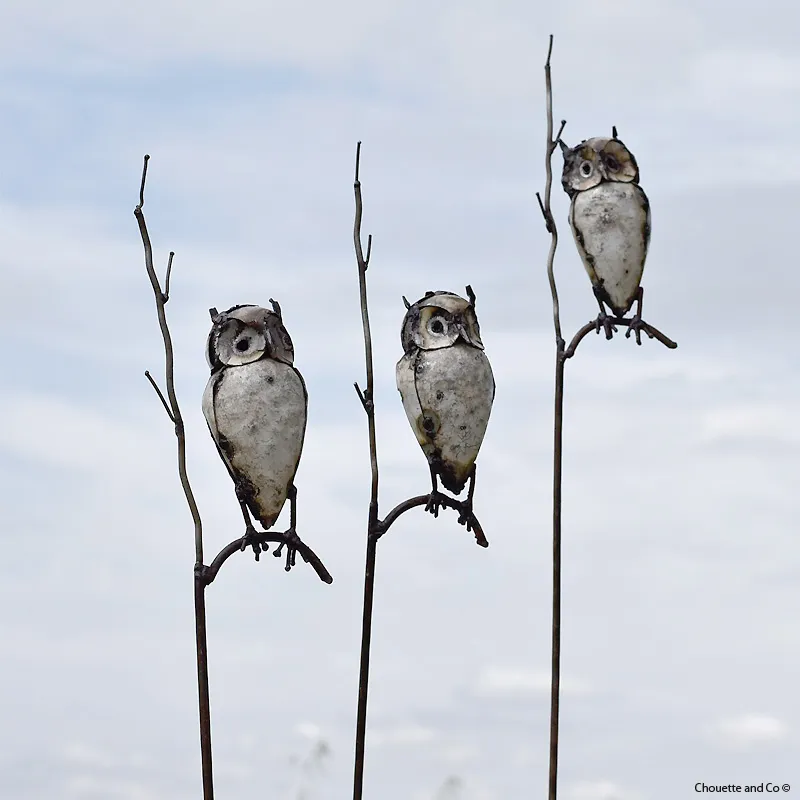 Hibou sur branche sur tuteur