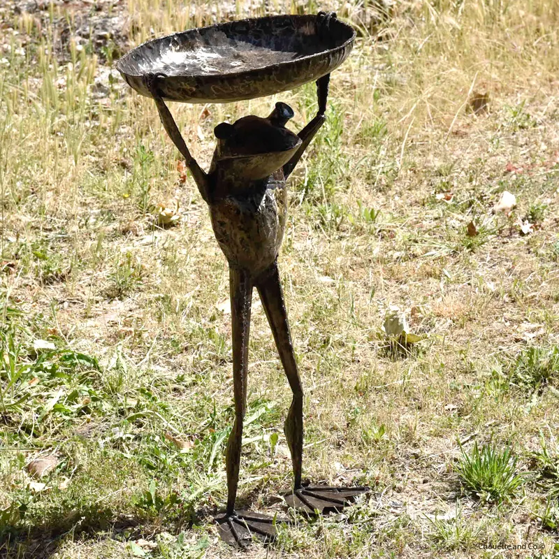 Grenouille bain