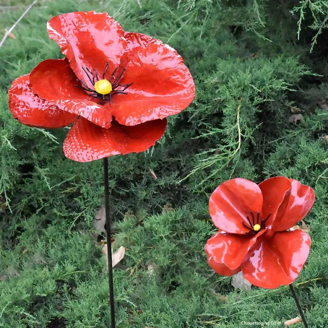 Coquelicot 3D