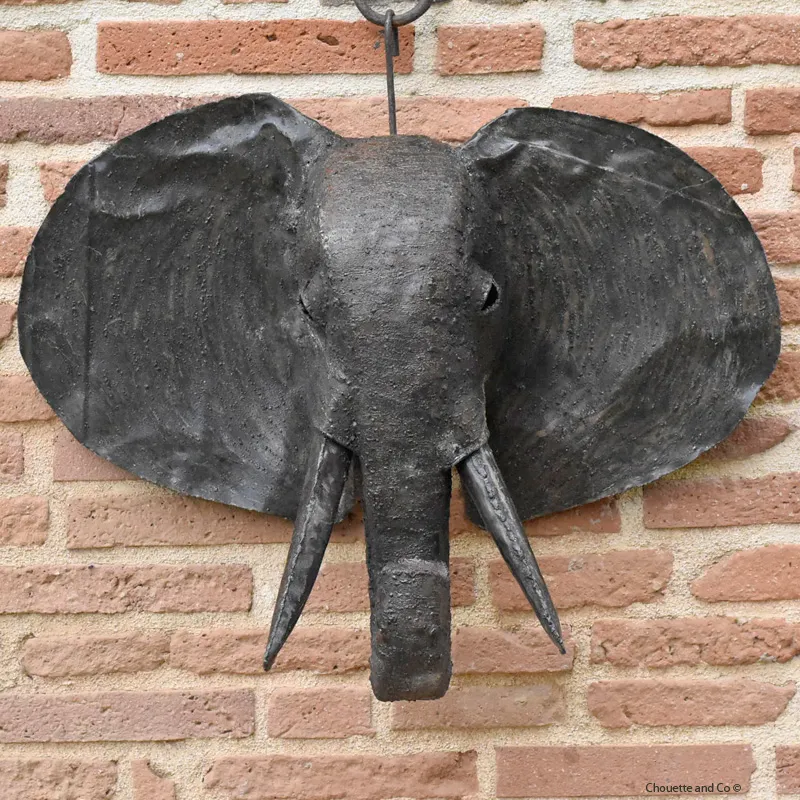 Tête d'éléphant naturelle