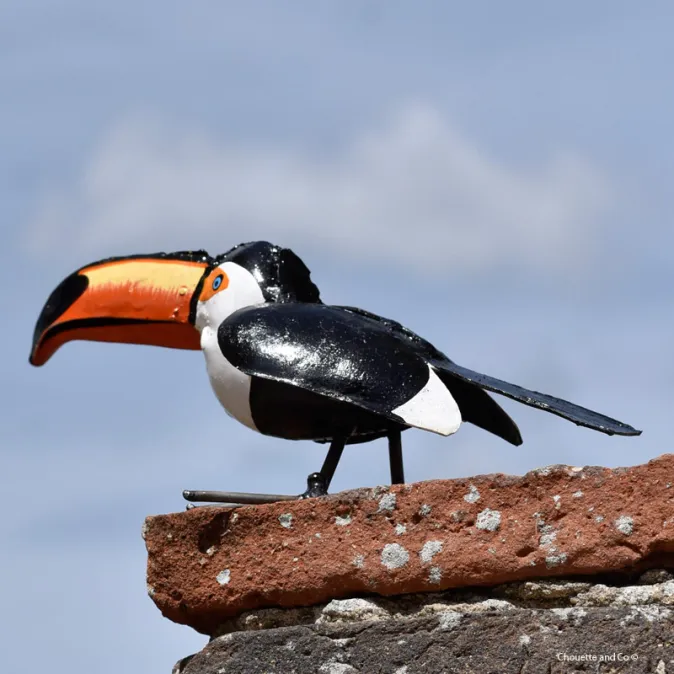 Toucan