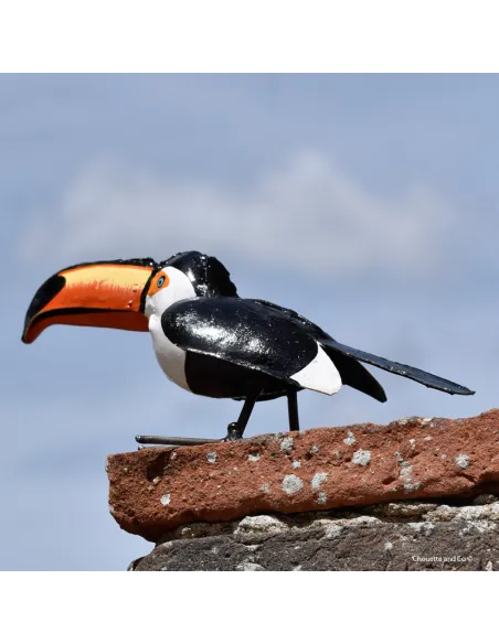 Toucan