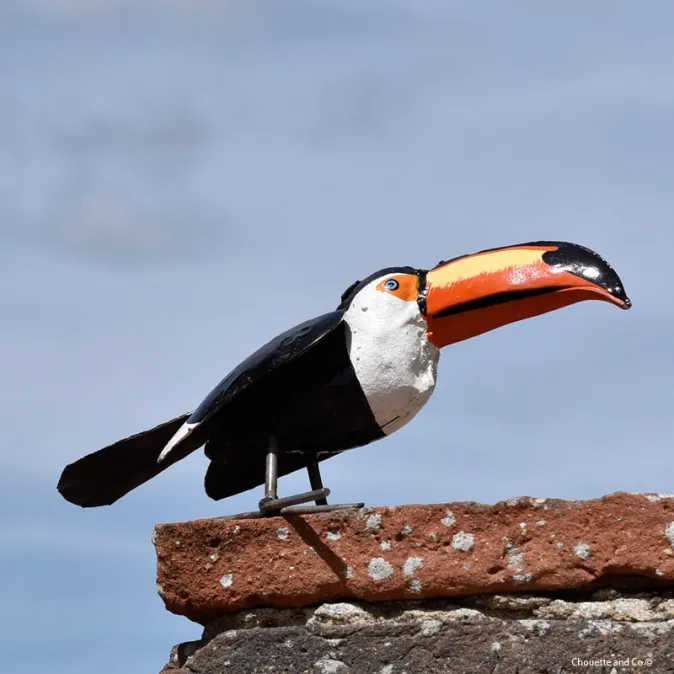 Toucan
