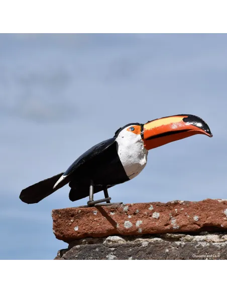 Toucan