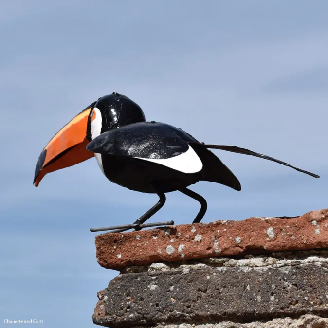 Toucan