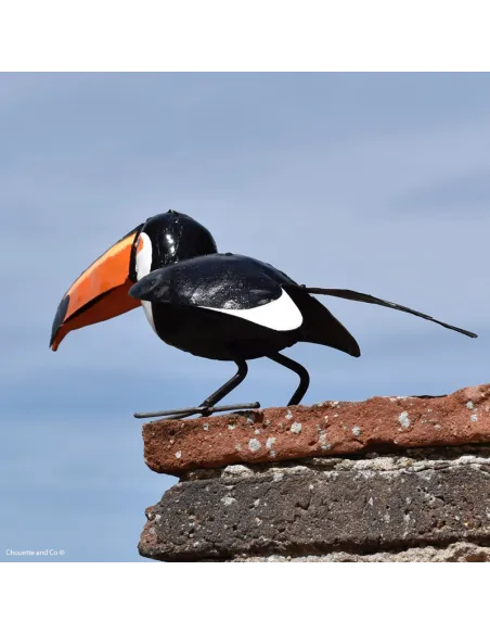 Toucan