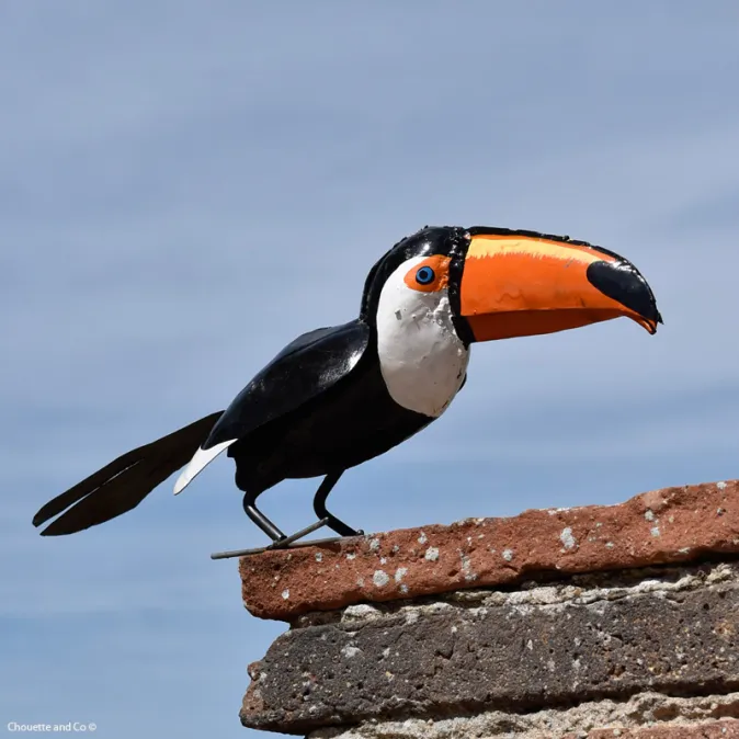 Toucan
