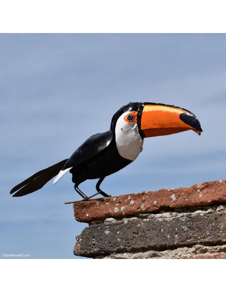 Toucan