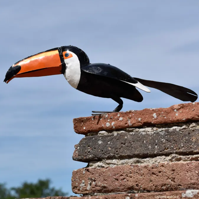 Toucan