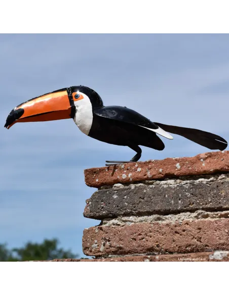 Toucan