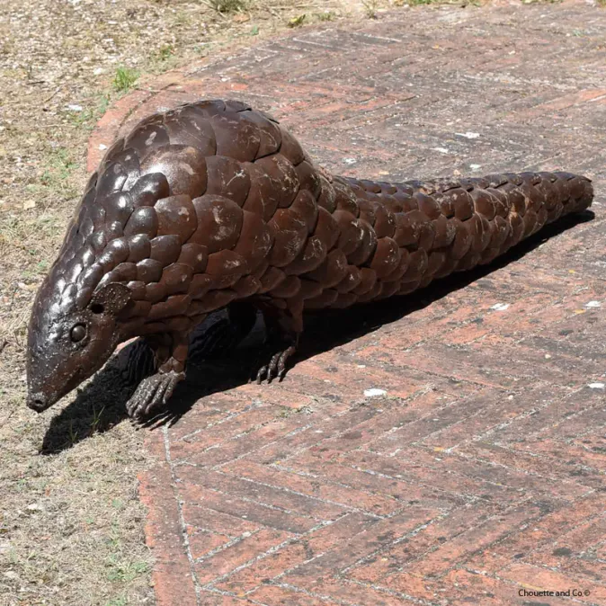 Pangolin xl naturel