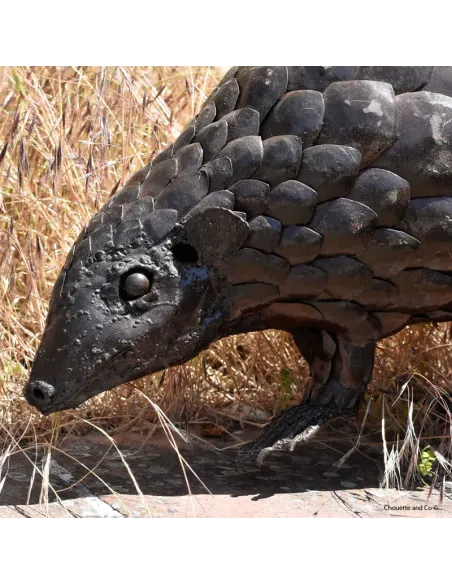 Pangolin xl naturel