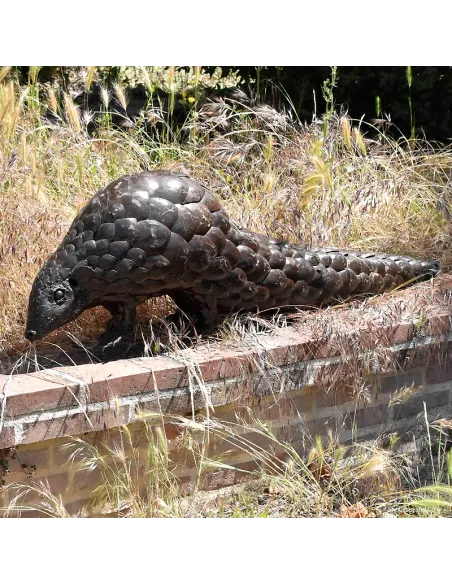 Pangolin xl naturel