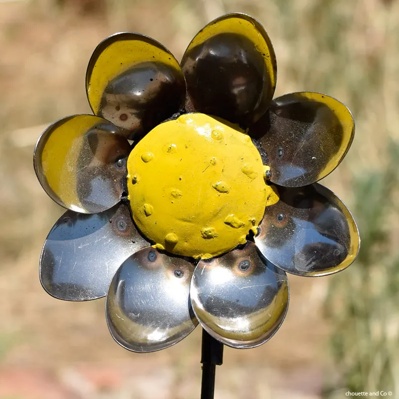 Tournesol cuillères