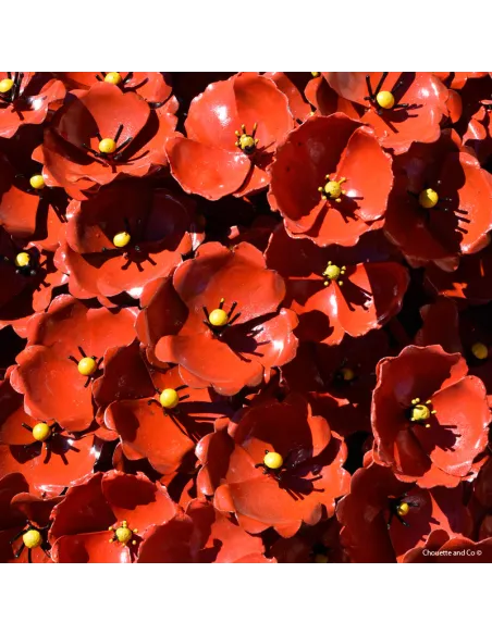 Coquelicot métal