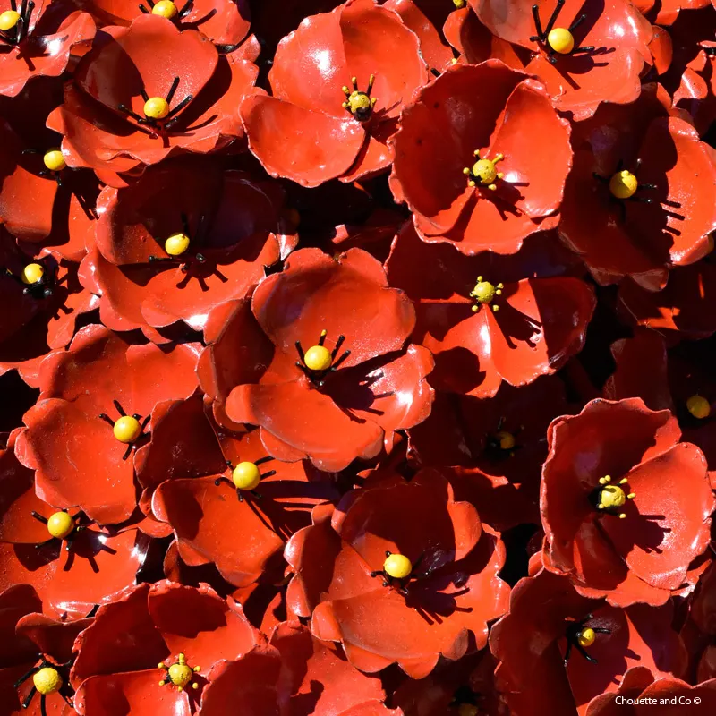 Coquelicot métal