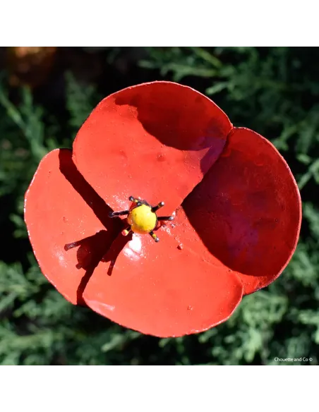 Coquelicot métal