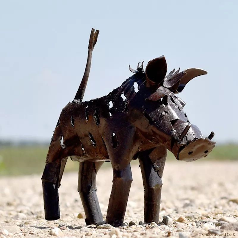 Phacochère photophore