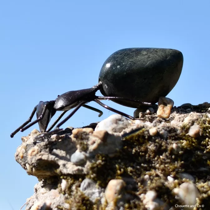fourmi pierre polie et métal petit modèle